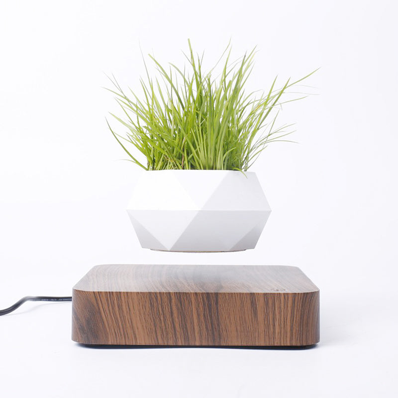 GyroSpin Levitating Rotating Flowerpot