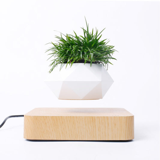 GyroSpin Levitating Rotating Flowerpot